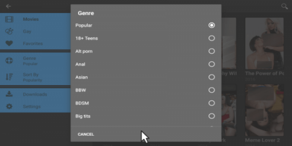 Porn Time APK