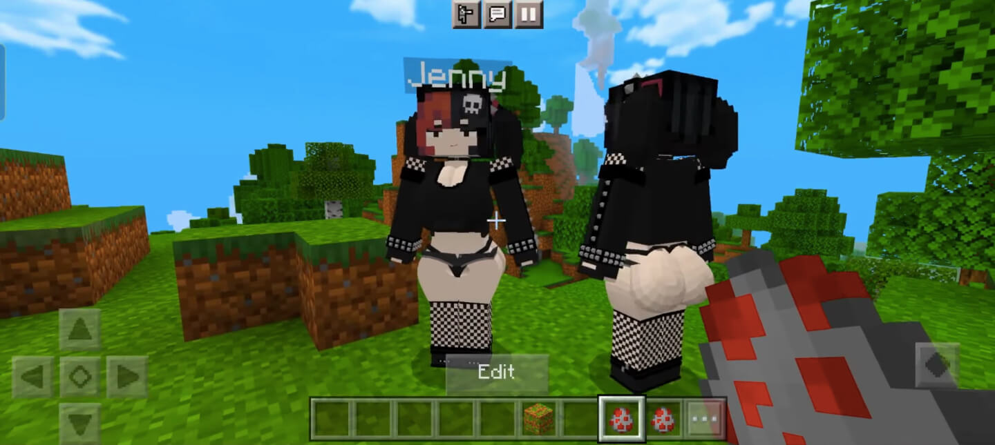 Minecraft Jenny