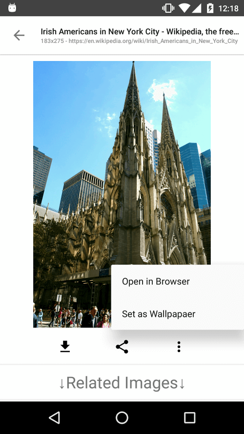 ImageSearchMan v3.35 ImageSearchMan v3.35