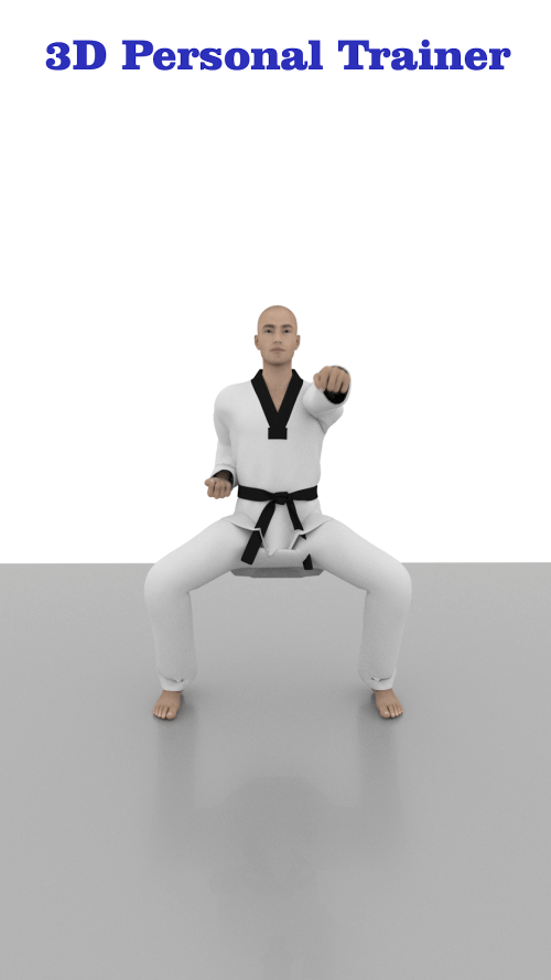 Taekwondo Workout At Home Taekwondo Workout At Home