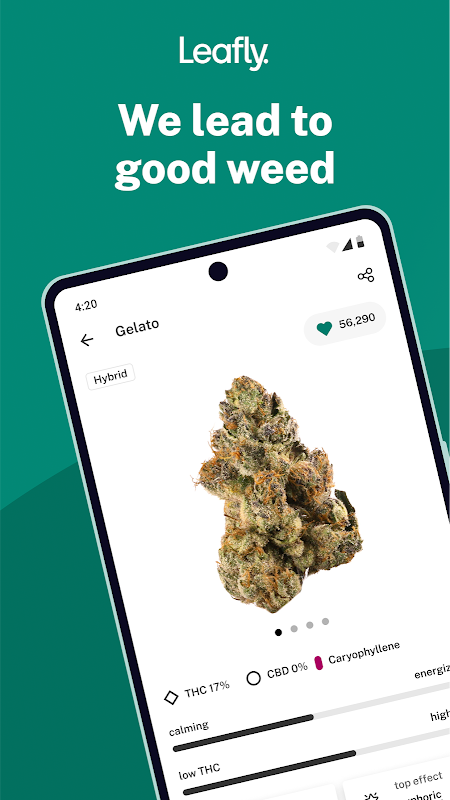 Leafly Leafly