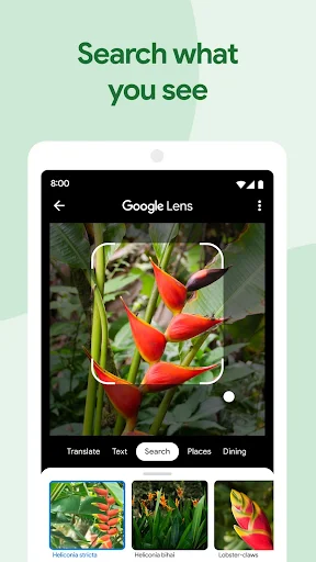 Google Photos Google Photos