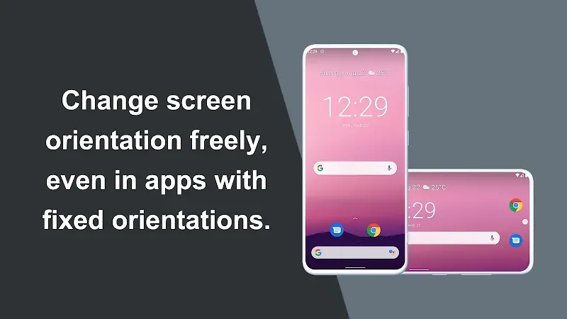Rotation Control Pro APK