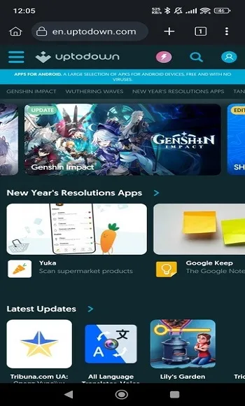 Kiwi Browser