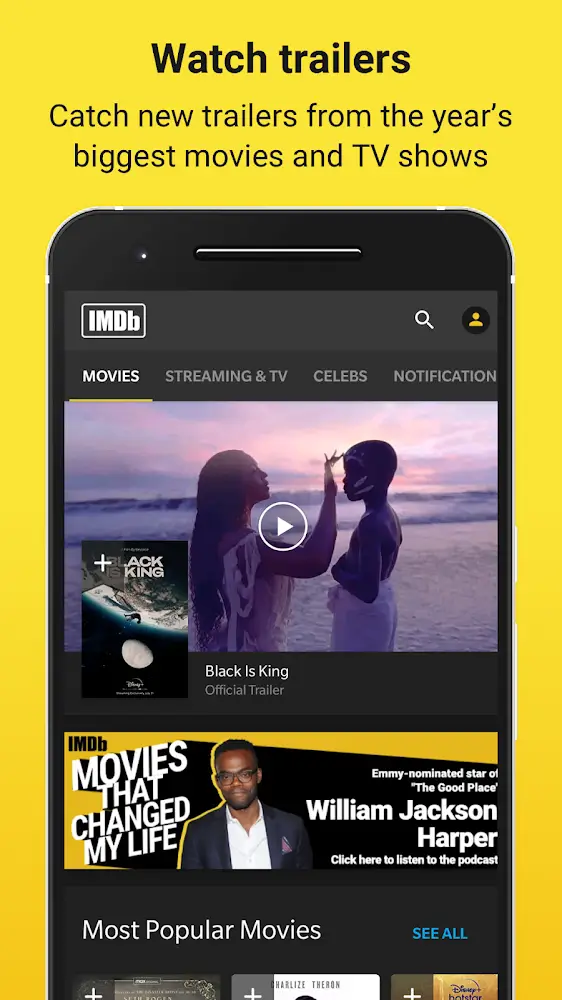 IMDb Mod