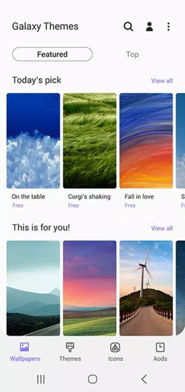 Galaxy Themes APK
