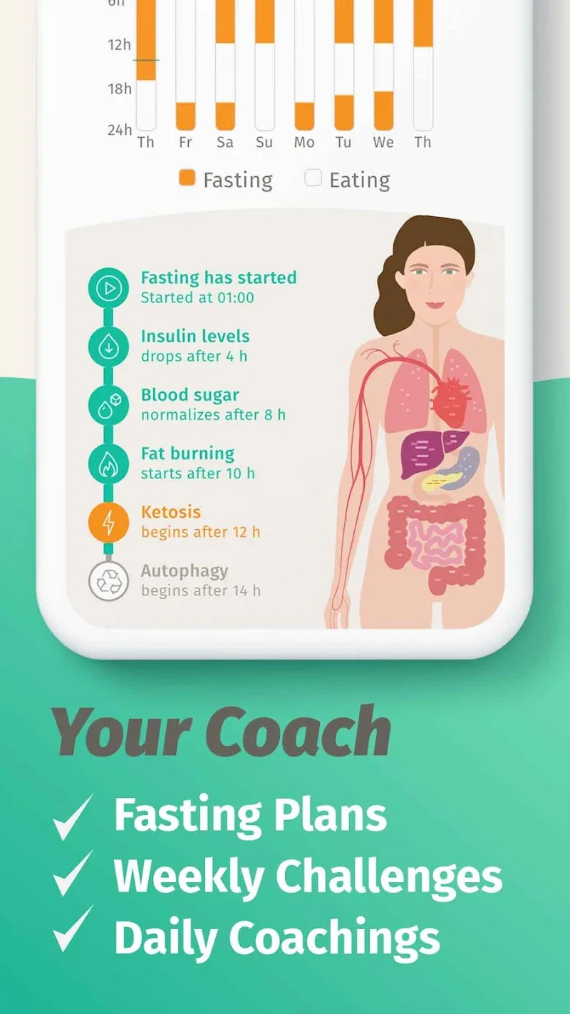 BodyFast BodyFast