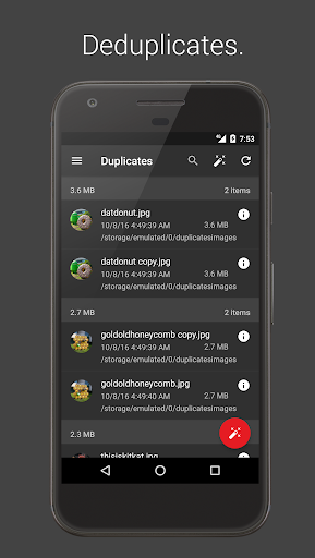 SD Maid 1 Pro