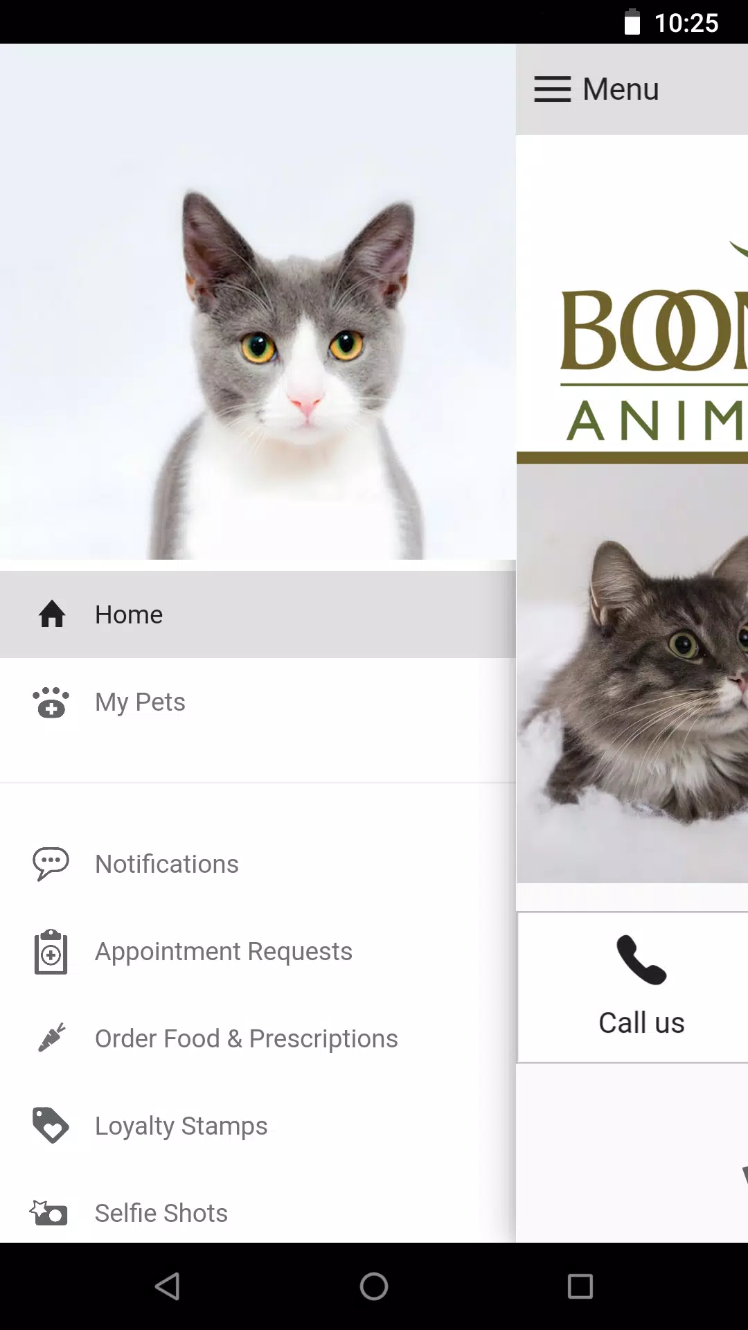 Boones Creek Animal Hospital app