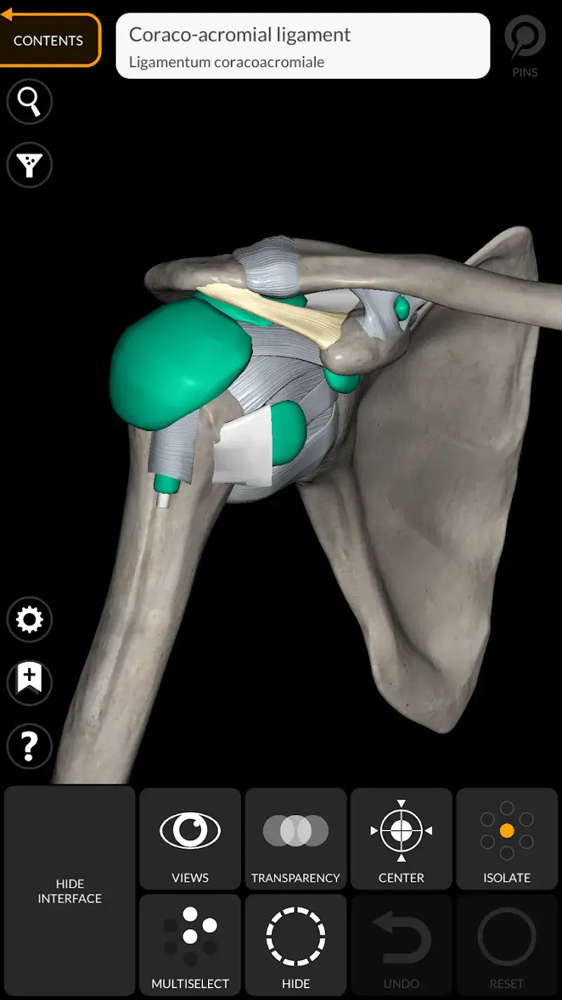 Anatomy 3D