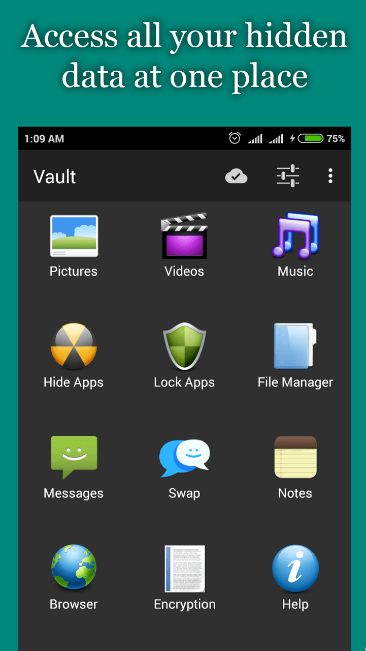 Audio Manager Vault