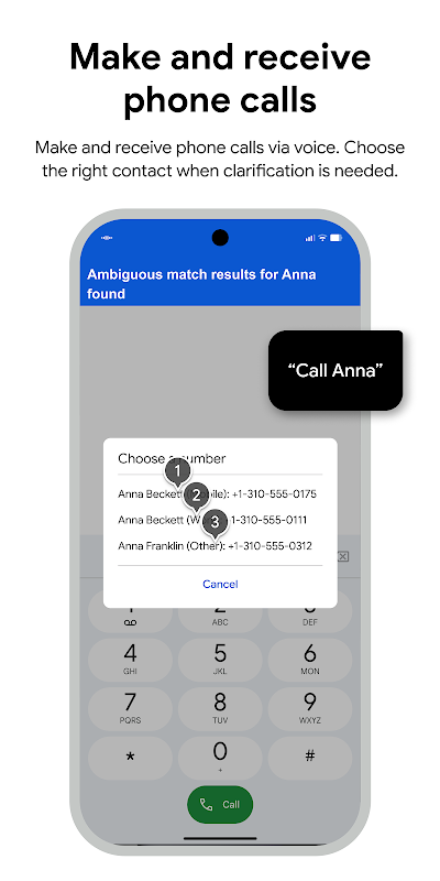 Voice Access