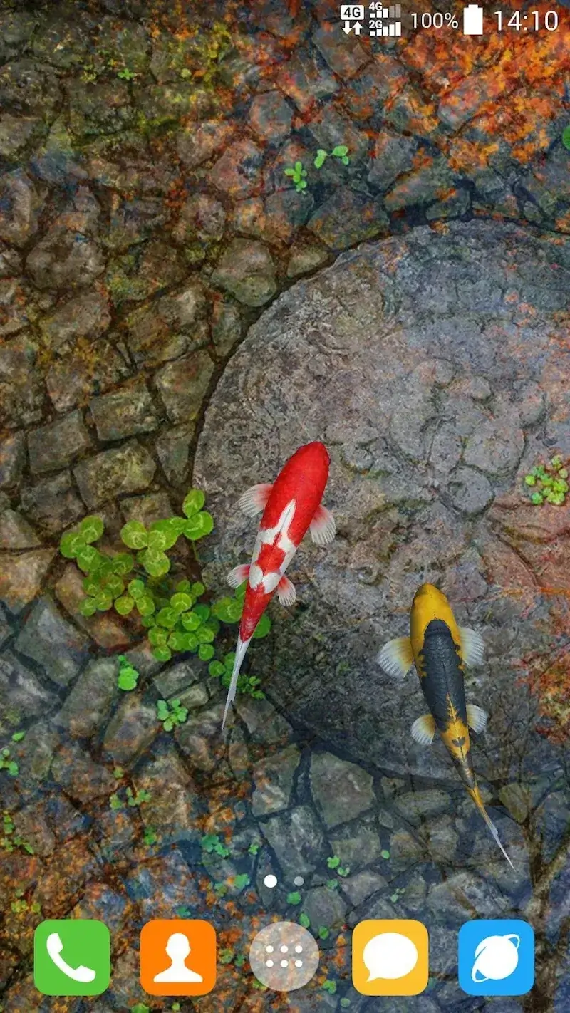 Water Garden Live Wallpaper Water Garden Live Wallpaper