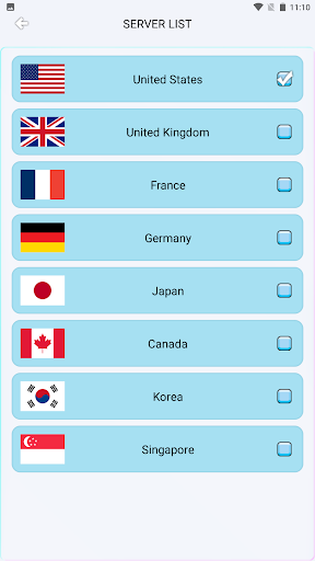 Blue Shield VPN