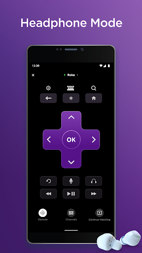 Roku Mod