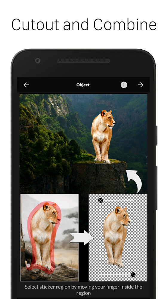 LightX Pro