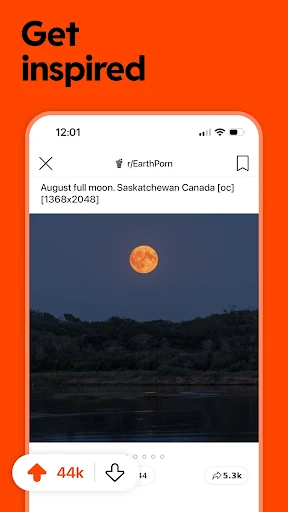 Reddit