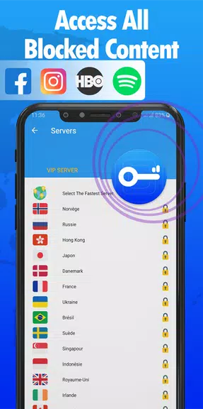 VPN Bunny - Master VPN Proxy