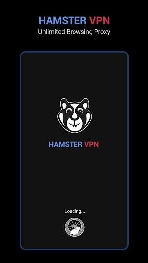 Hamtser VPN
