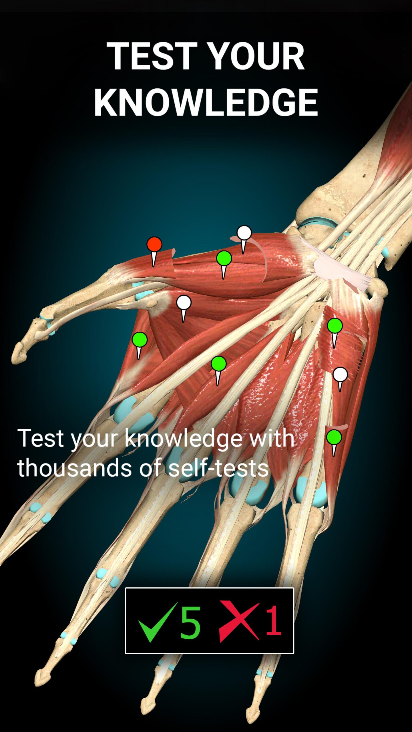 Anatomy Learning