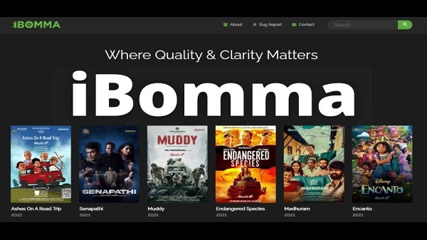 iBOMMA