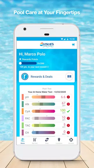 Leslie's - Pool Care