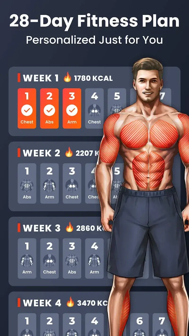 Home Workout - No Equipment