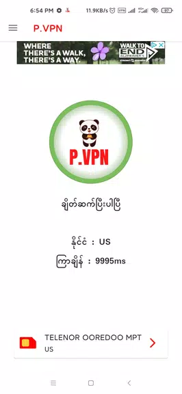 P-VPN