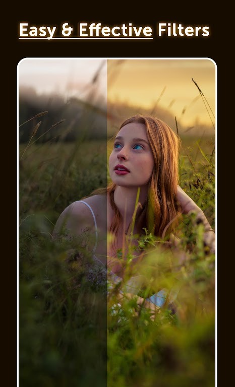 Presetly - Lightroom Presets