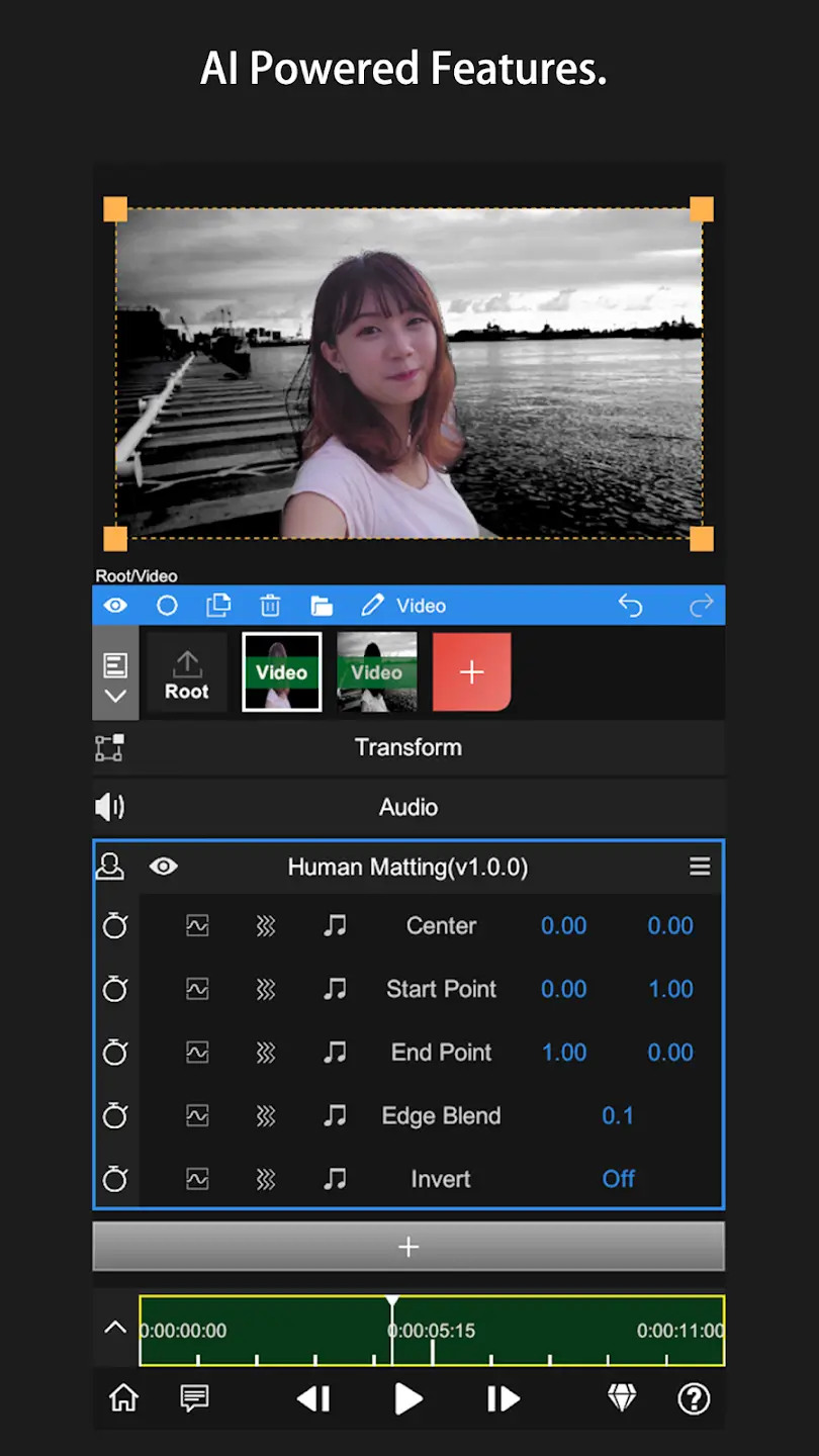 Node Video Editor