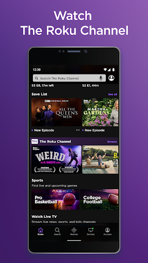 Roku Mod