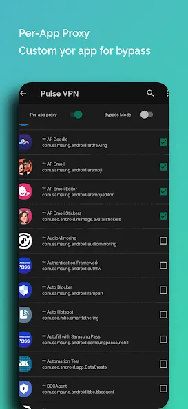 Pulse VPN