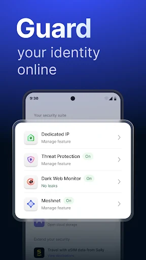NordVPN