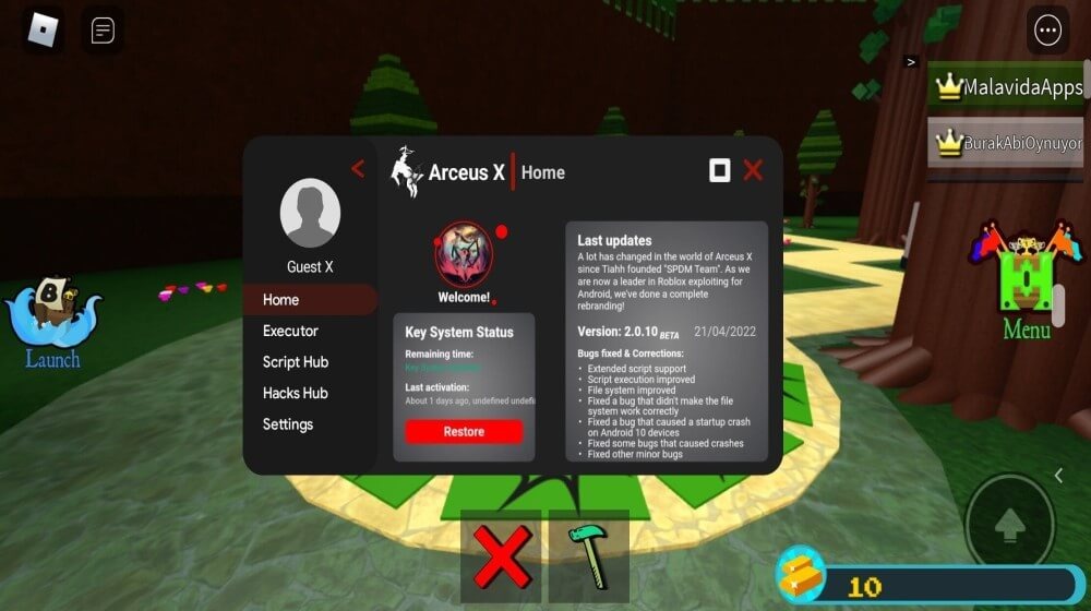 Arceus X
