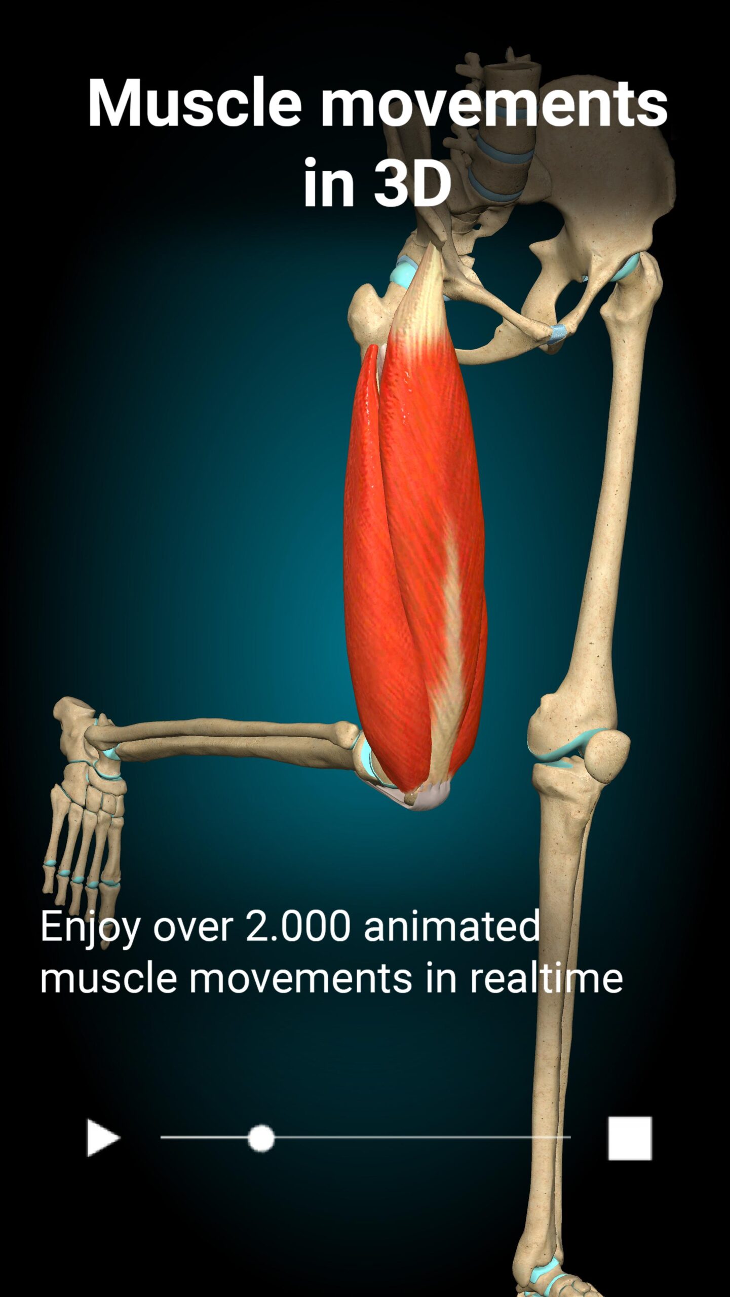 Anatomy Learning