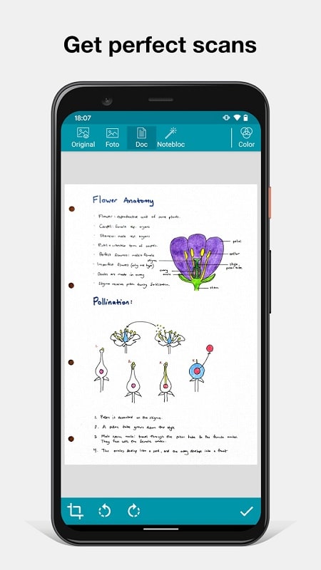 Notebloc Scanner