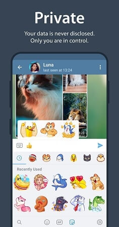Telegram Premium
