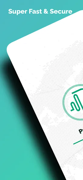 Pulse VPN
