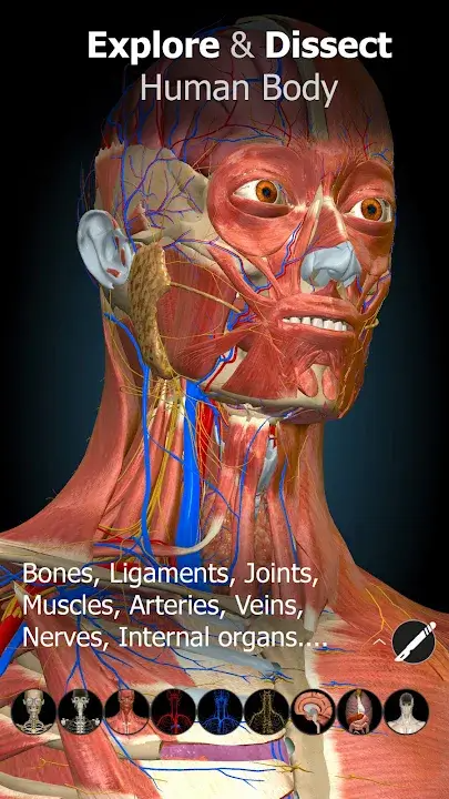 Anatomy Learning - 3D Anatomy Anatomy Learning - 3D Anatomy