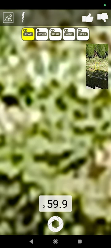 Maximum Zoom