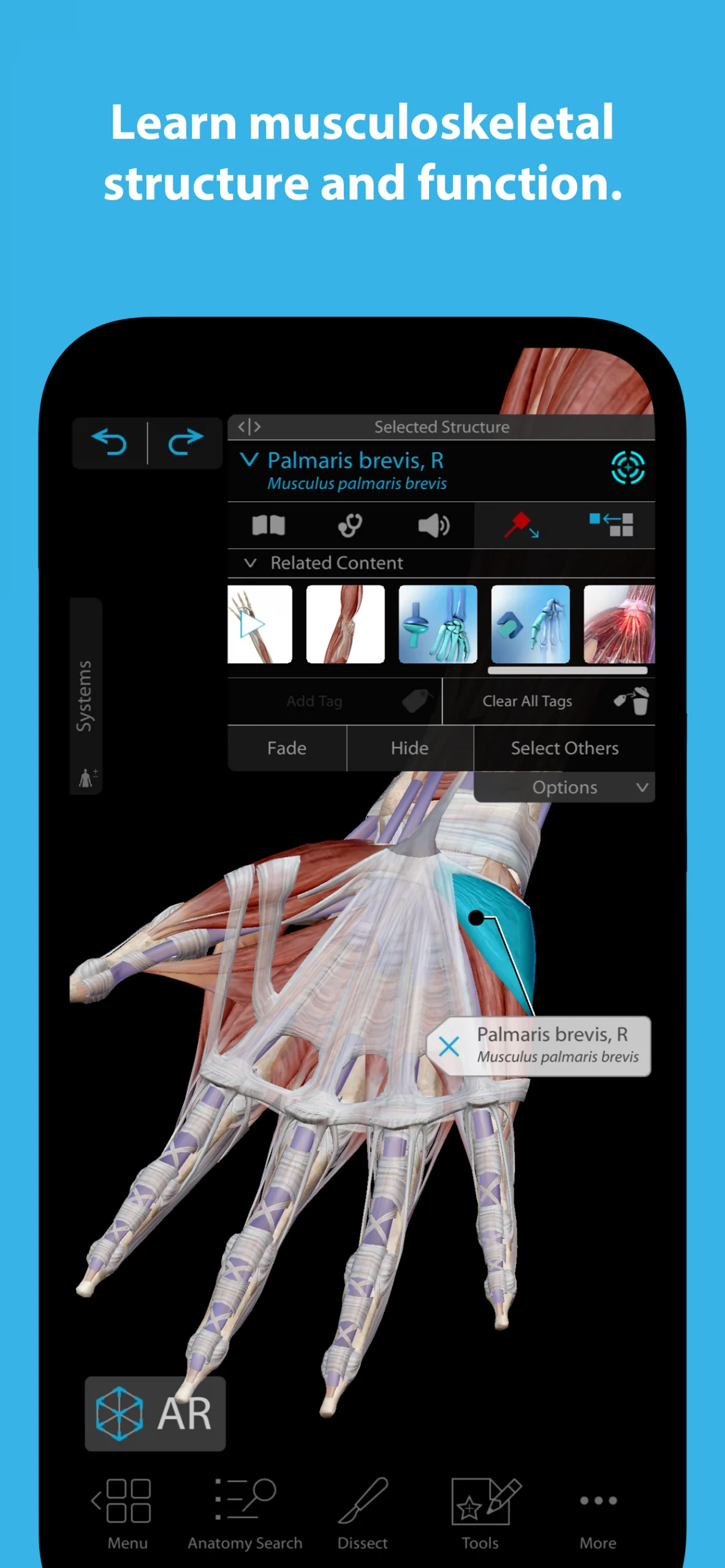 Human Anatomy Atlas