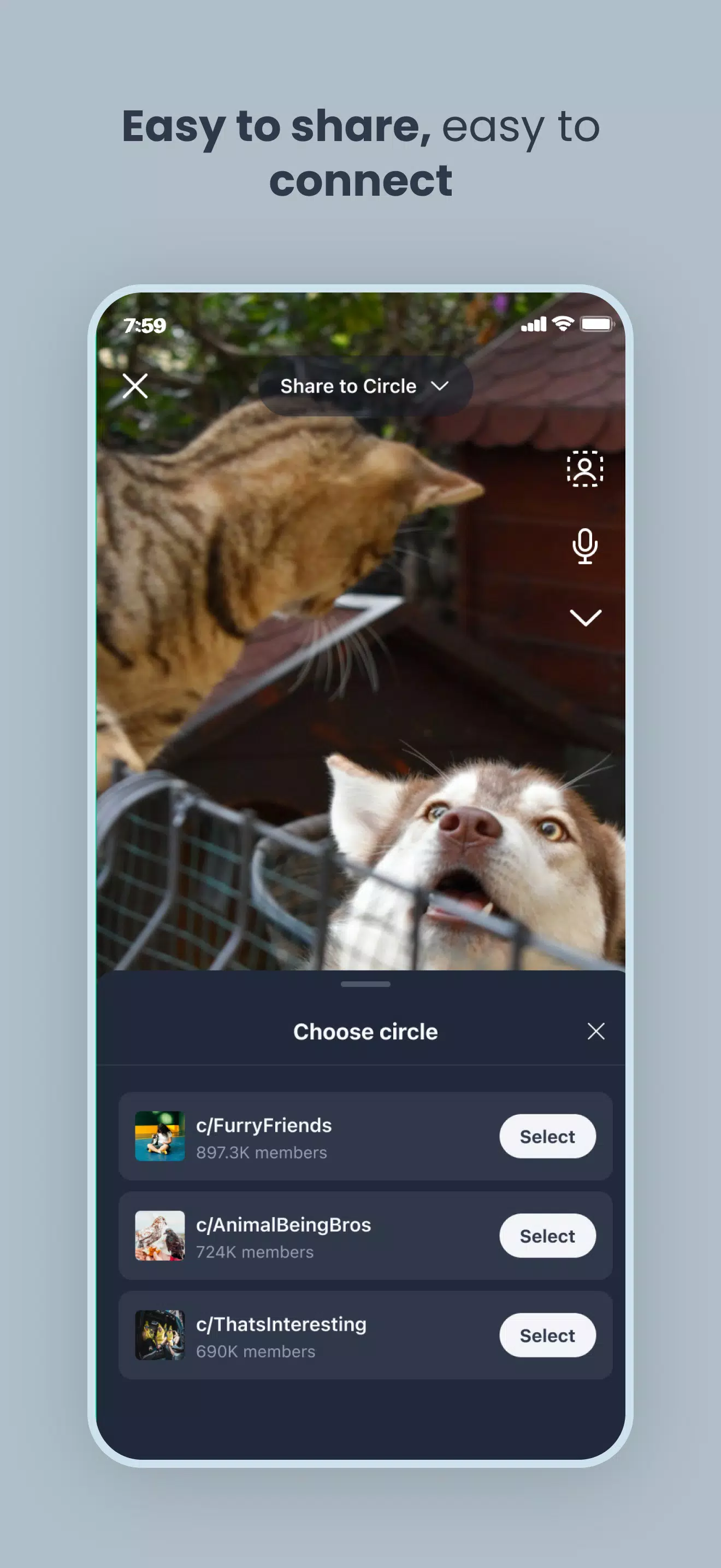 Scoopz