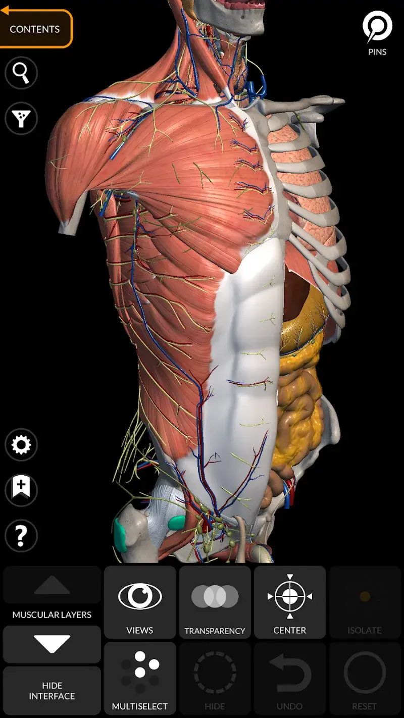 Anatomy 3D