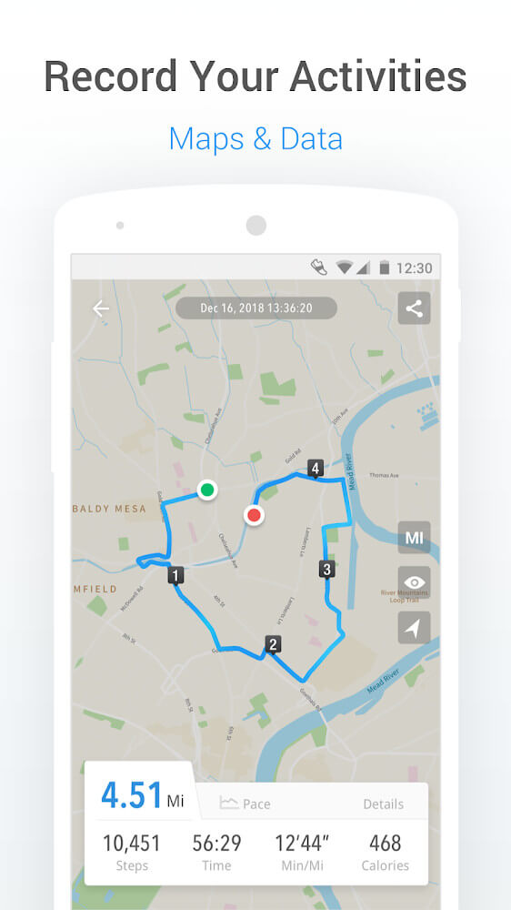 Pacer Pedometer