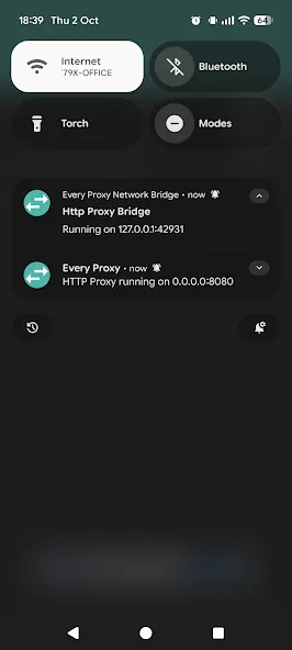 Every Proxy