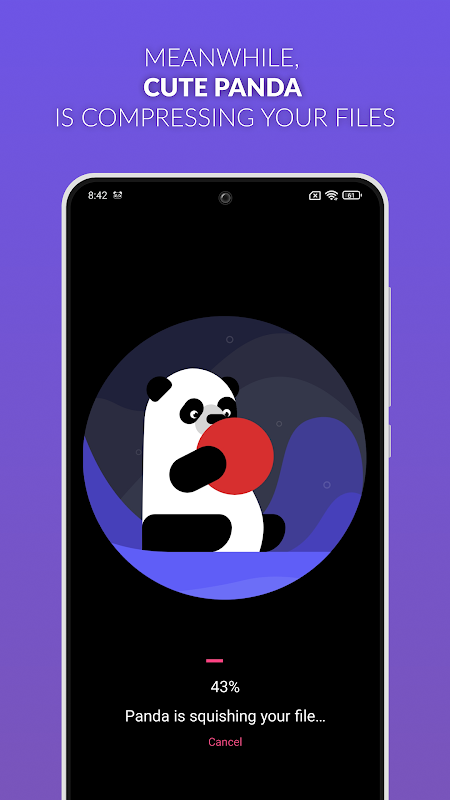 Video Compressor Panda