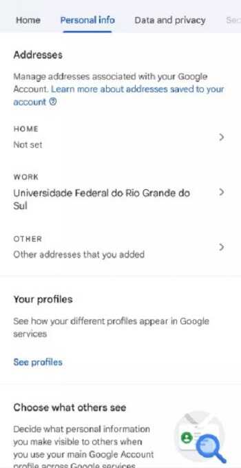 Google Account Manager