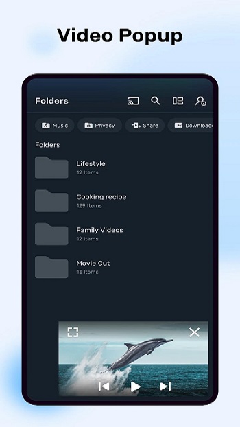 MX Player Mod