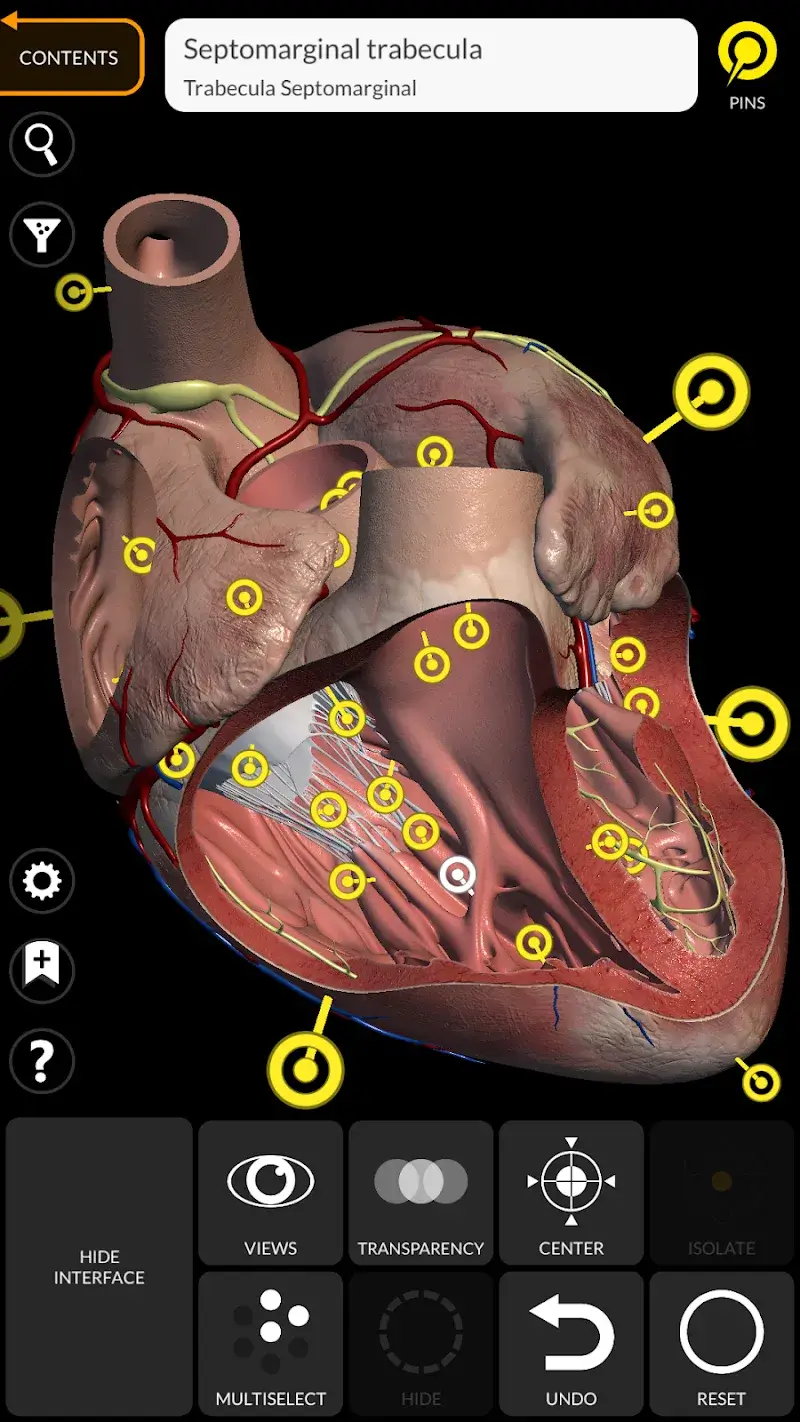 Anatomy 3D