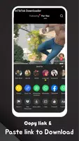 Tik Tok Downloader